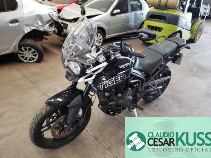 TRIUMPH TIGER 19/19